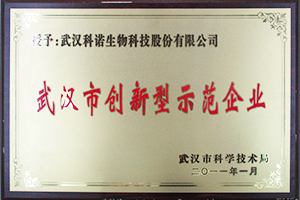 武汉市创新型示范企业